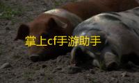 掌上cf手游助手